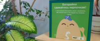 Экологическая программа «Батарейки, СДАВАЙТЕСЬ!»