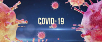 В России выявлено рекордное число новых случаев коронавируса