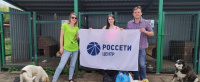 Четвероногие друзья из приюта «Право жить» получили помощь от курских энергетиков