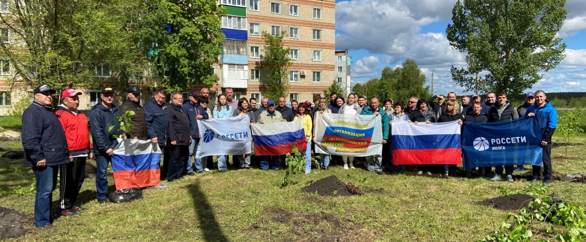 Пензенская областная организация ВЭП провела акцию по посадке деревьев 