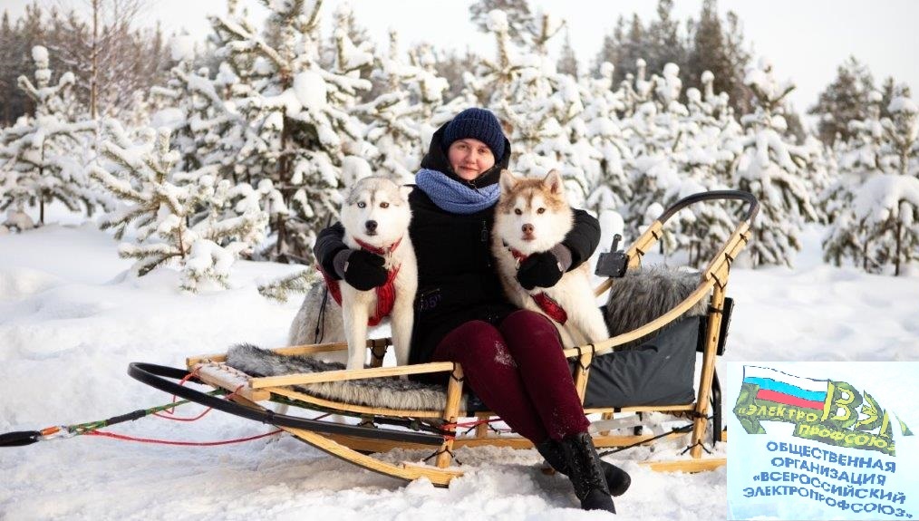 В вояж с семьей на собачьих упряжках