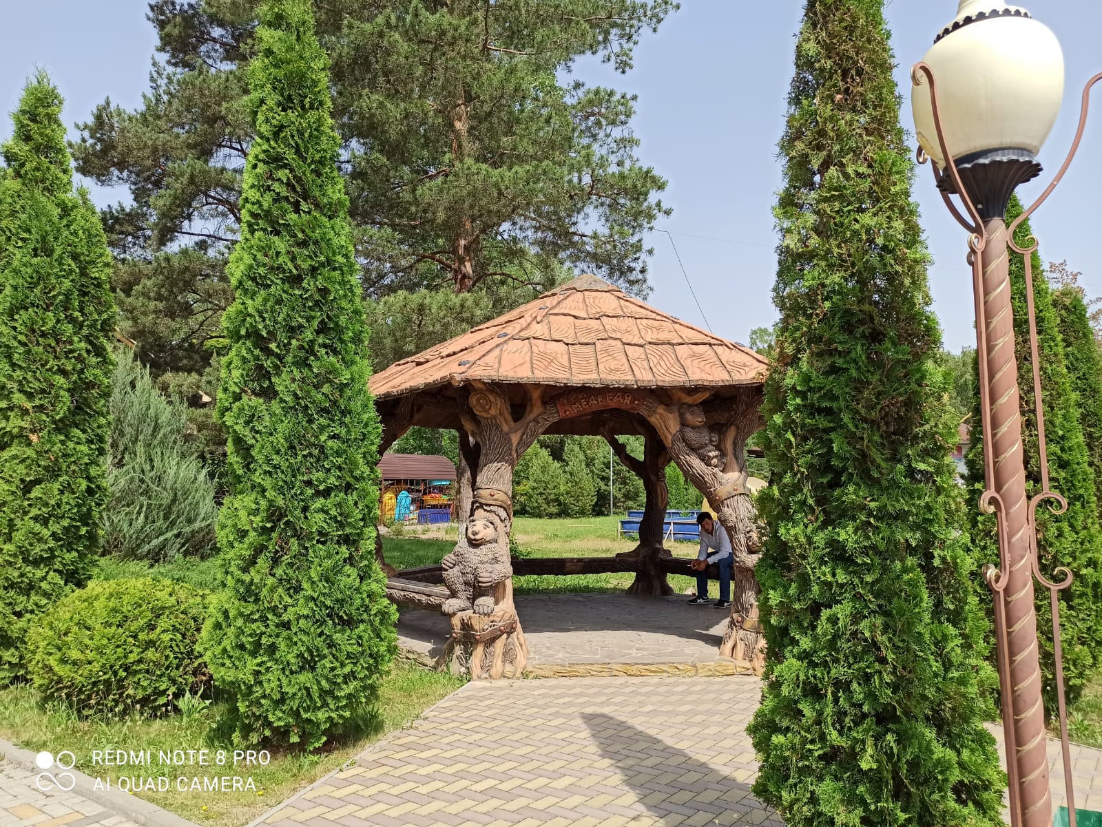 Зеленый парк черкесск